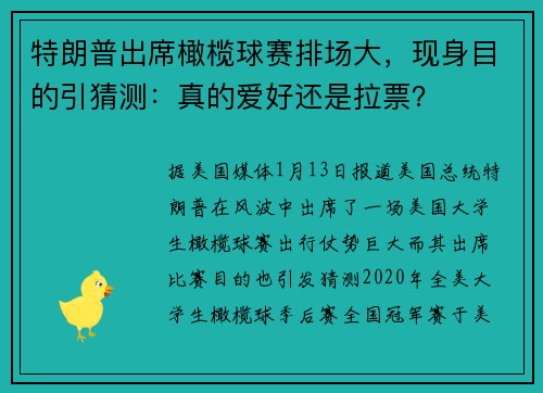 特朗普出席橄榄球赛排场大，现身目的引猜测：真的爱好还是拉票？